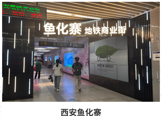 我司项目一
