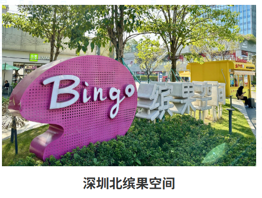 我司项目三