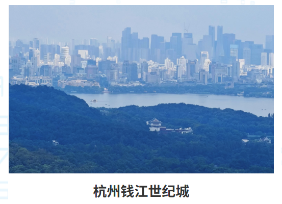 我司项目四
